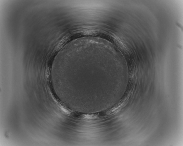 X0000096410277200802141547