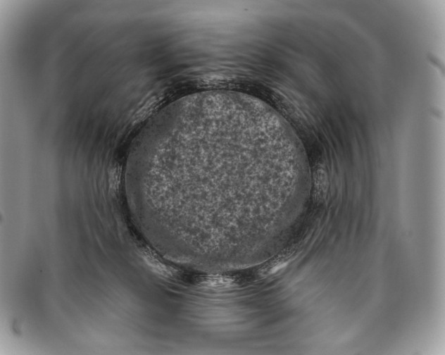 X0000096410278200802141547