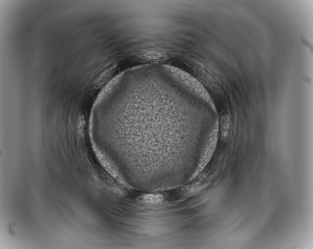 X0000096410279200802141547