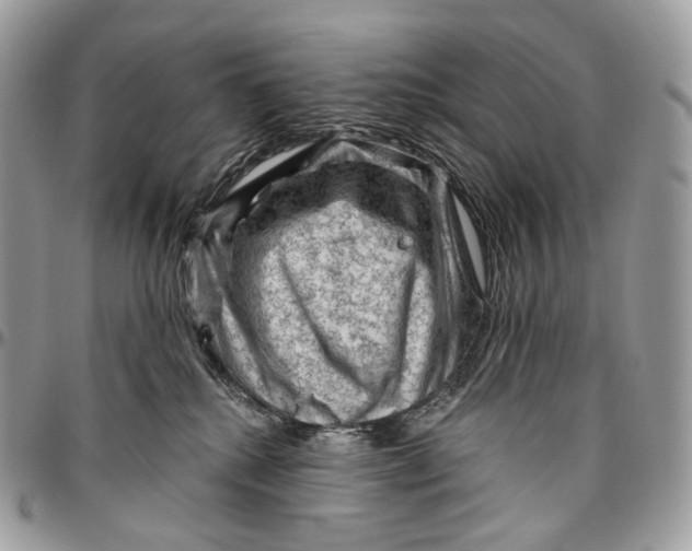 X0000096410280200802141547