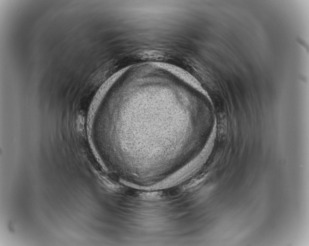 X0000096410281200802141547