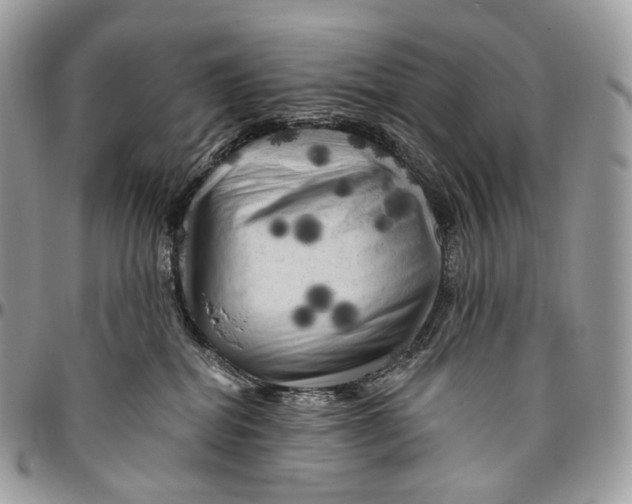 X0000096410282200802141547