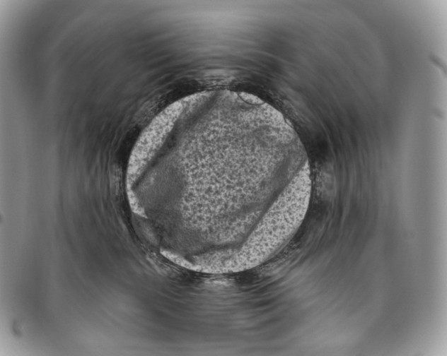 X0000096410283200802141547