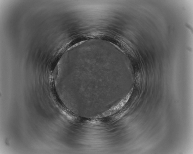 X0000096410284200802141547