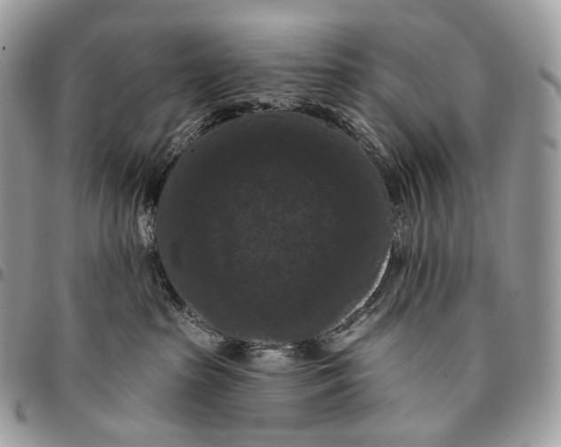 X0000096410285200802141547