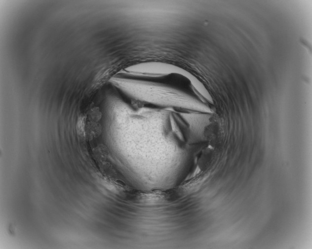 X0000096410286200802141548