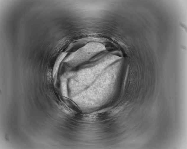 X0000096410288200802141548