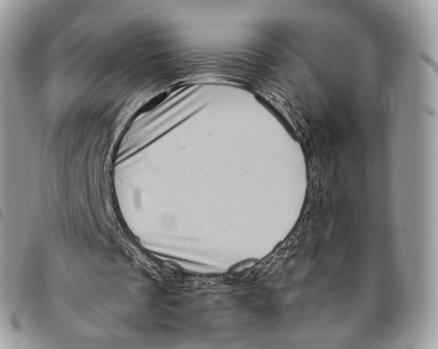 X0000096410289200802141547