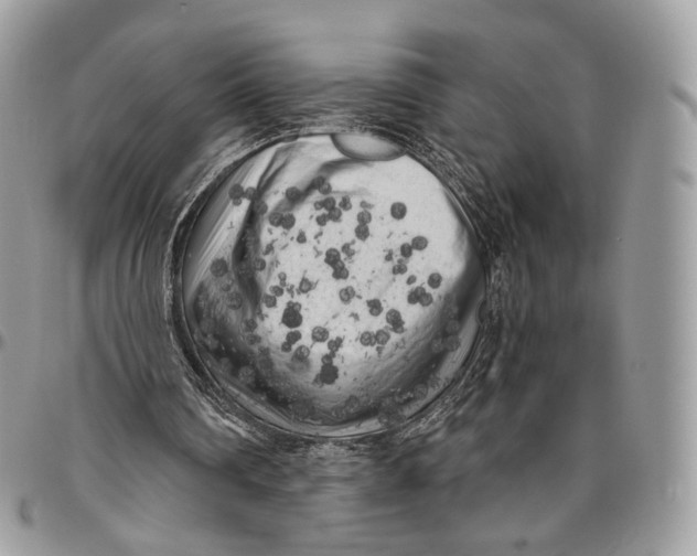 X0000096410290200802141547