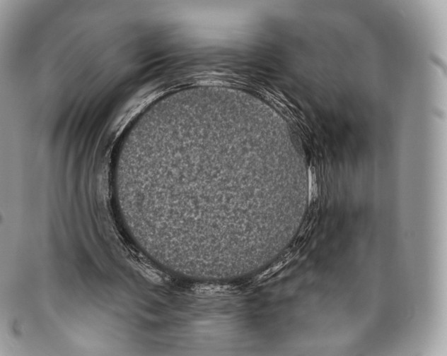 X0000096410291200802141547