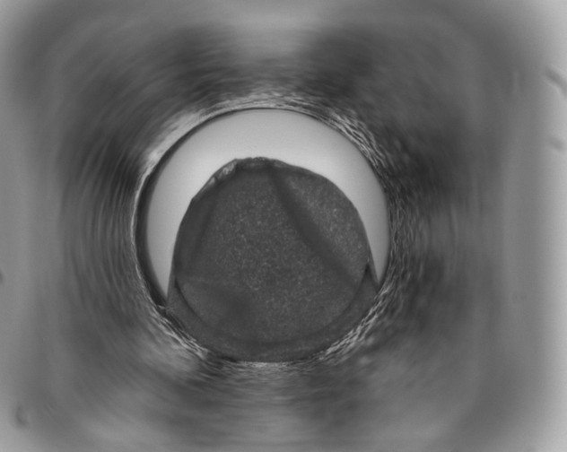 X0000096410292200802141547