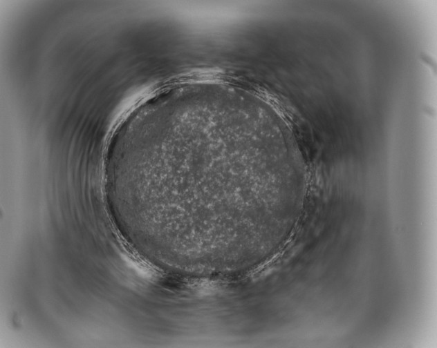 X0000096410293200802141547