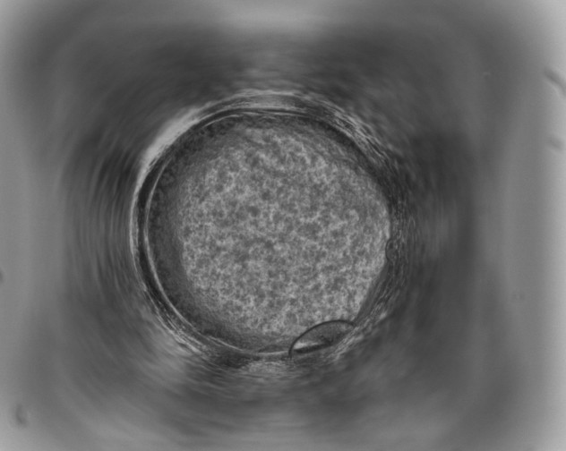 X0000096410294200802141547