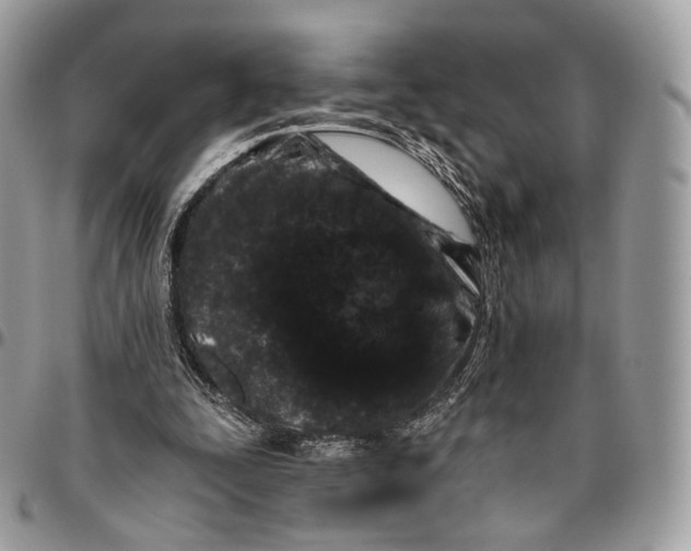 X0000096410295200802141547