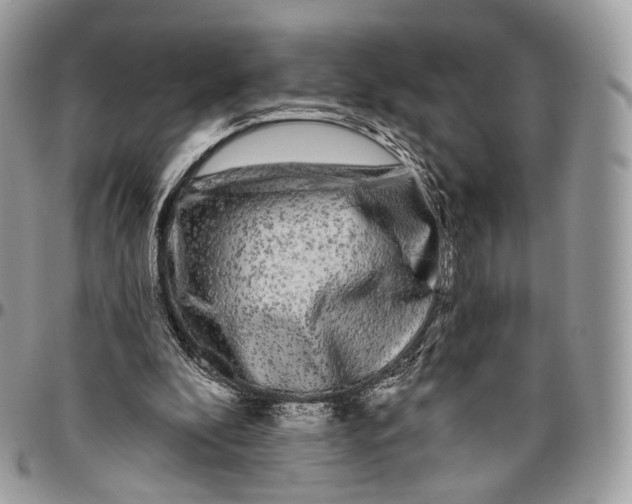 X0000096410296200802141547