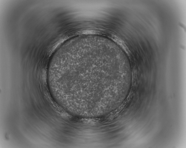 X0000096410297200802141547