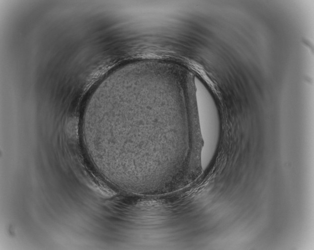 X0000096410299200802141547