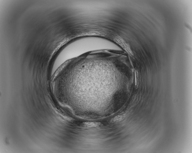 X0000096410300200802141547