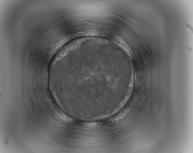 X0000096410301200802141547