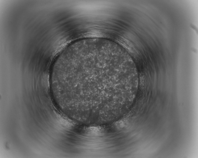 X0000096410302200802141547