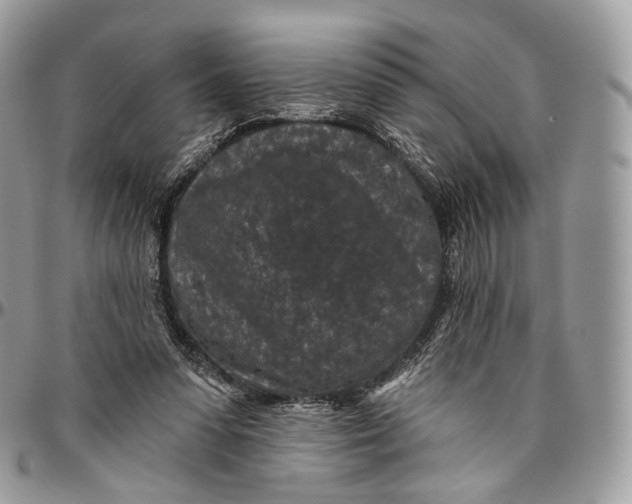 X0000096410303200802141547