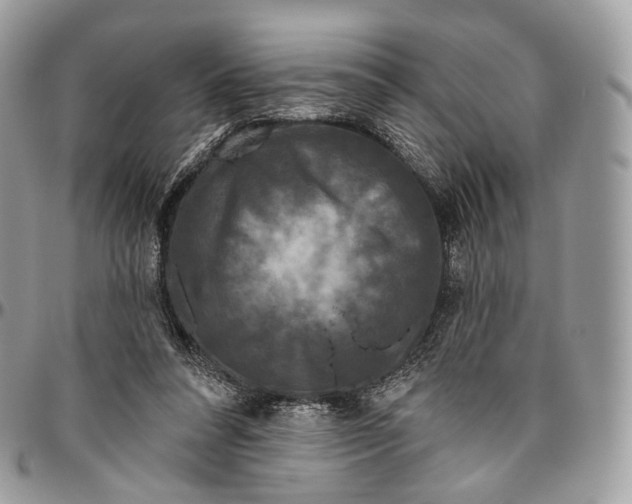 X0000096410304200802141547