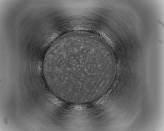 X0000096410305200802141547