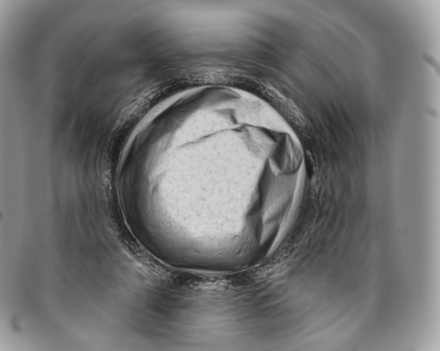 X0000096410306200802141547