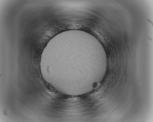 X0000096410307200802141547