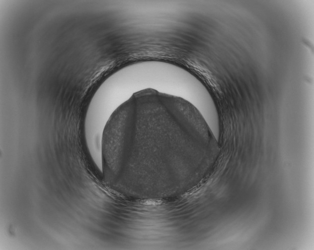 X0000096410308200802141547