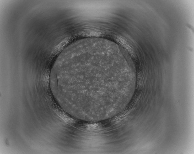 X0000096410309200802141547