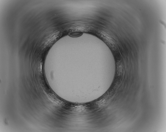 X0000096410310200802141547