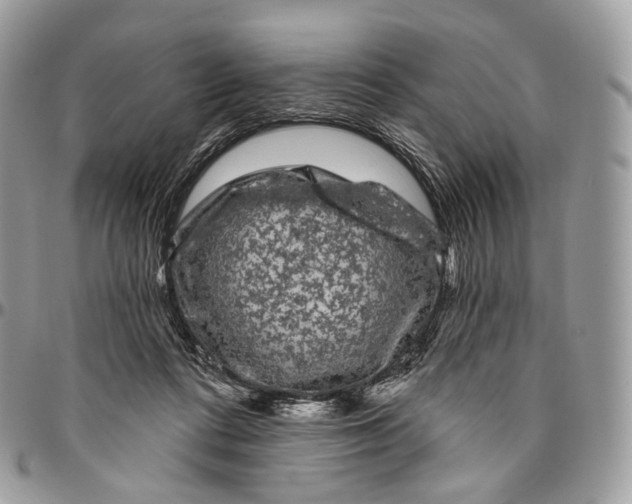 X0000096410312200802141547