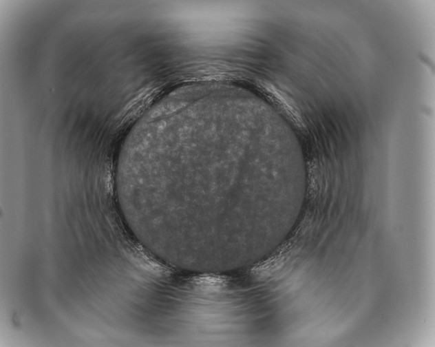 X0000096410313200802141547