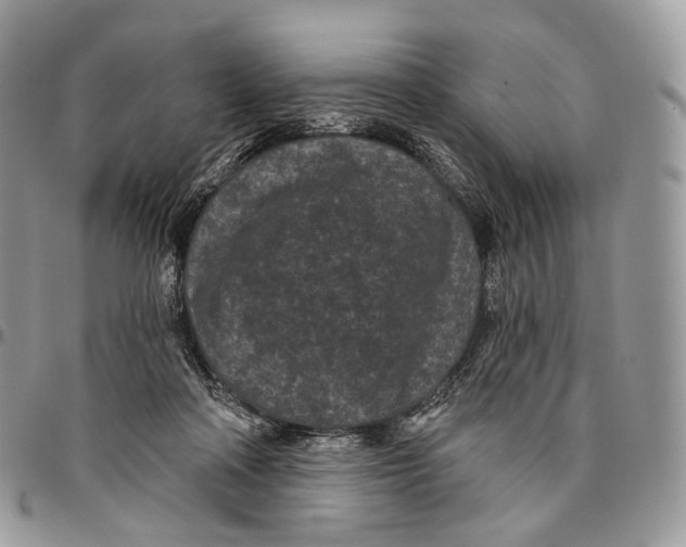 X0000096410314200802141547