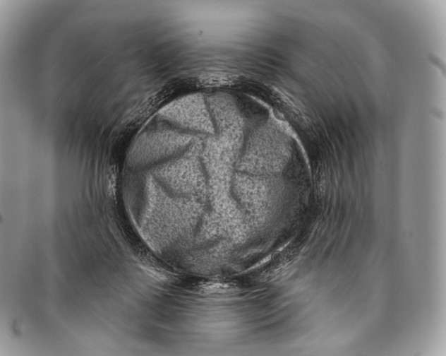 X0000096410315200802141547