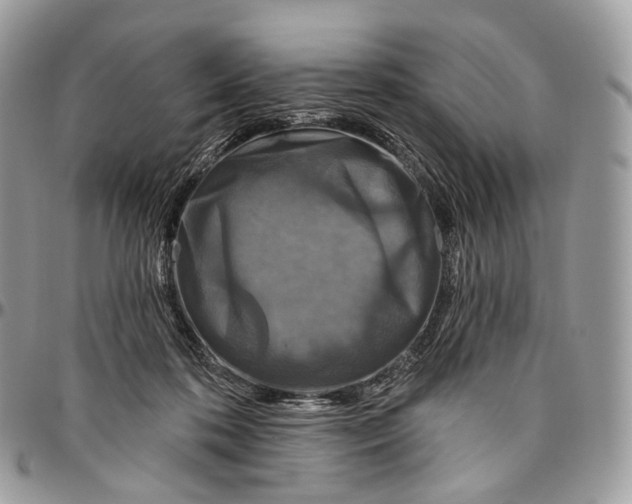 X0000096410316200802141547