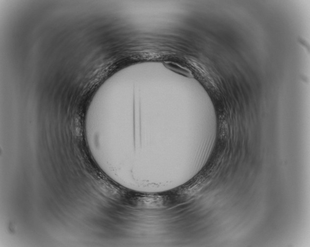 X0000096410317200802141547