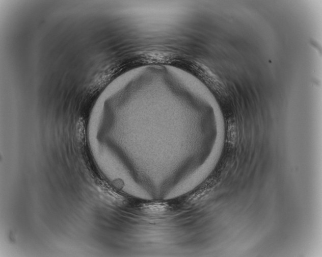 X0000096410318200802141546