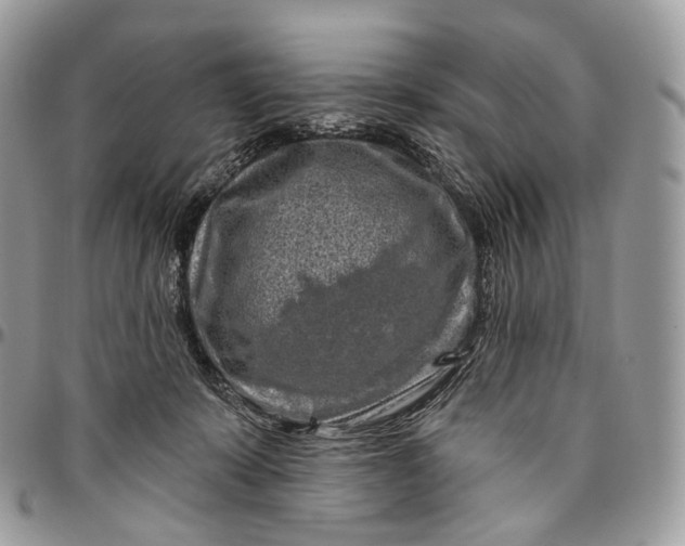 X0000096410319200802141546