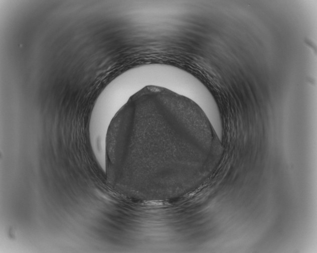 X0000096410320200802141546