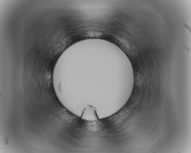 X0000096410321200802141546