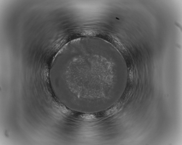 X0000096410322200802141546