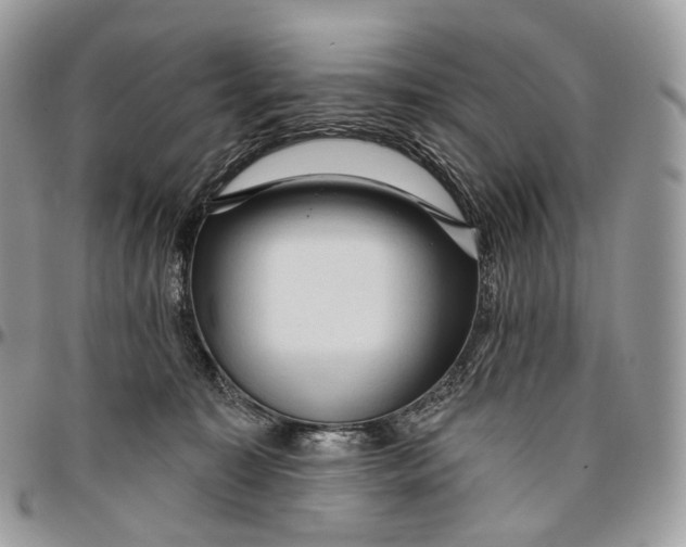 X0000096410323200802141546