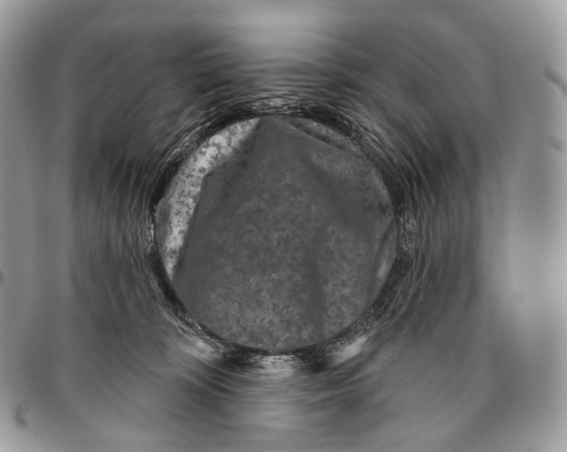 X0000096410324200802141546