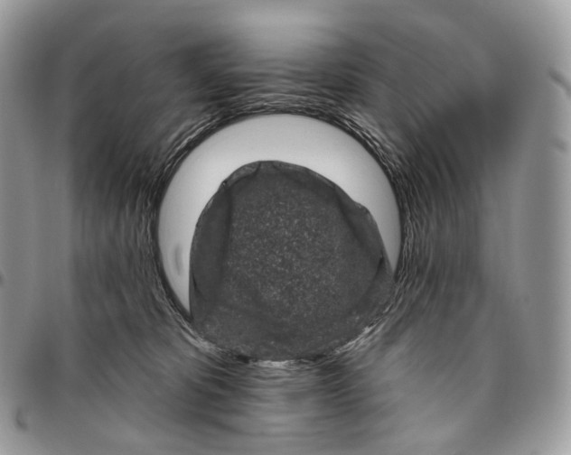 X0000096410325200802141546