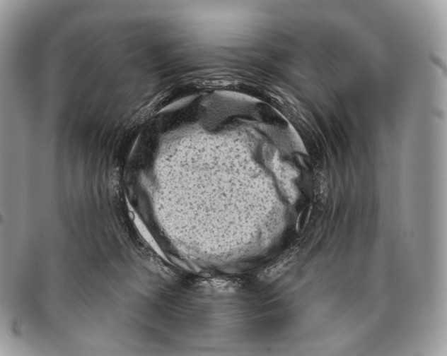 X0000096410326200802141546