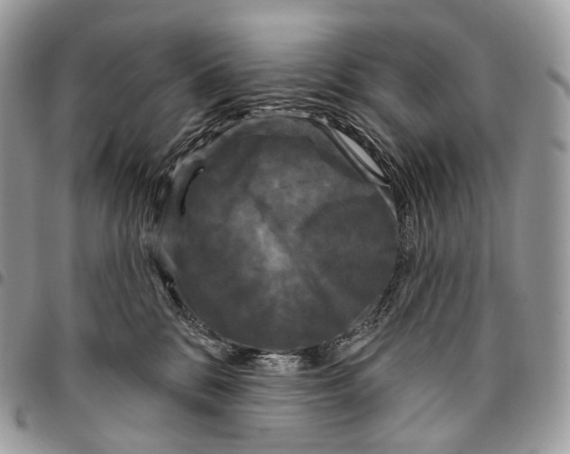 X0000096410328200802141546