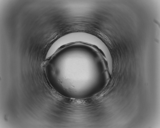 X0000096410329200802141546