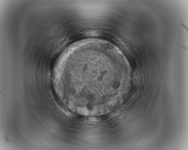 X0000096410330200802141546